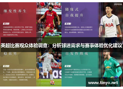 英超比赛观众体验调查：分析球迷需求与赛事体验优化建议